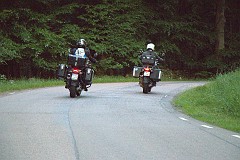 IMG_7979.jpg  IMG_7979